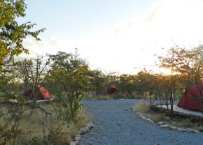 Etosha Village Campsite